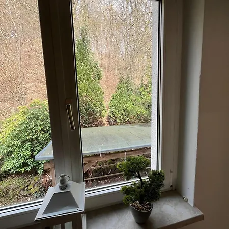 Wunderschoenes Haus Am Waldrand 1 * Harztor