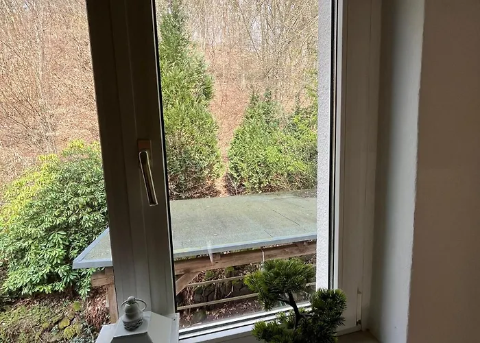 Wunderschoenes Haus Am Waldrand 1 * Harztor